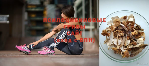 прущие крисы Абаза