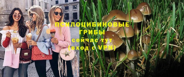 спайс Абинск