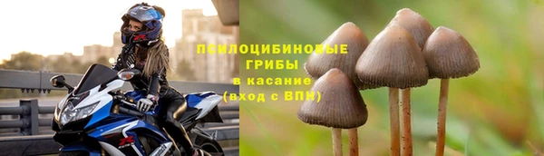 спайс Абинск
