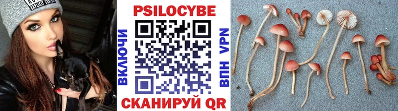 Псилоцибиновые грибы мицелий  hydra   Судогда 
